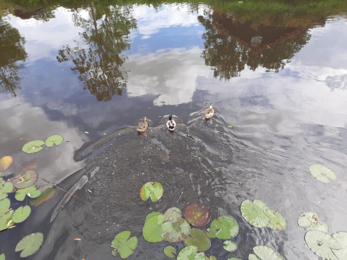Waterhuis Friesland Oudwoude Kültér fotó